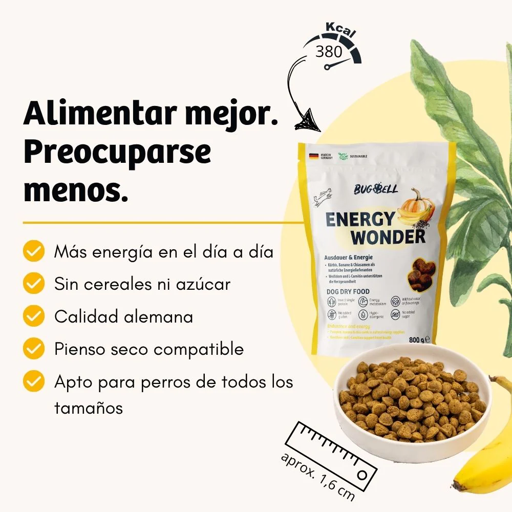 Alimento BugBell EnergyWonder - hipoalergénico, sem cereais, com proteína de inseto, banana e chia - Image 2