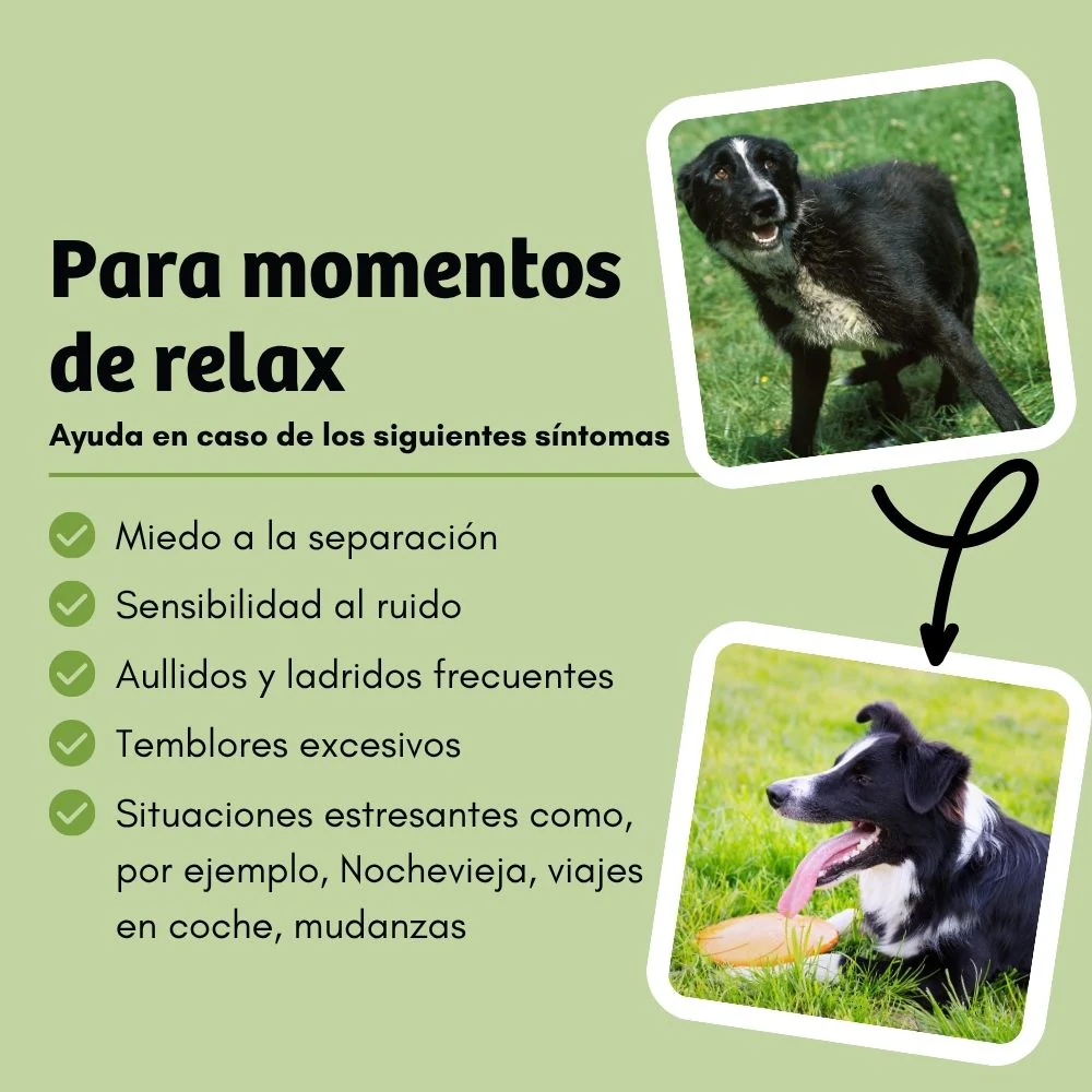 Ração BugBell MagicRelax - Hipoalergénica, sem cereais, com proteínas de insectos, cânhamo, ervas e ómega 3 - Image 4
