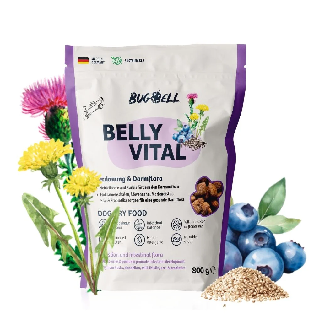 BugBell BellyVital Feed - hipoalergénico, sem grãos, com proteína de inseto, psílio e mirtilos.