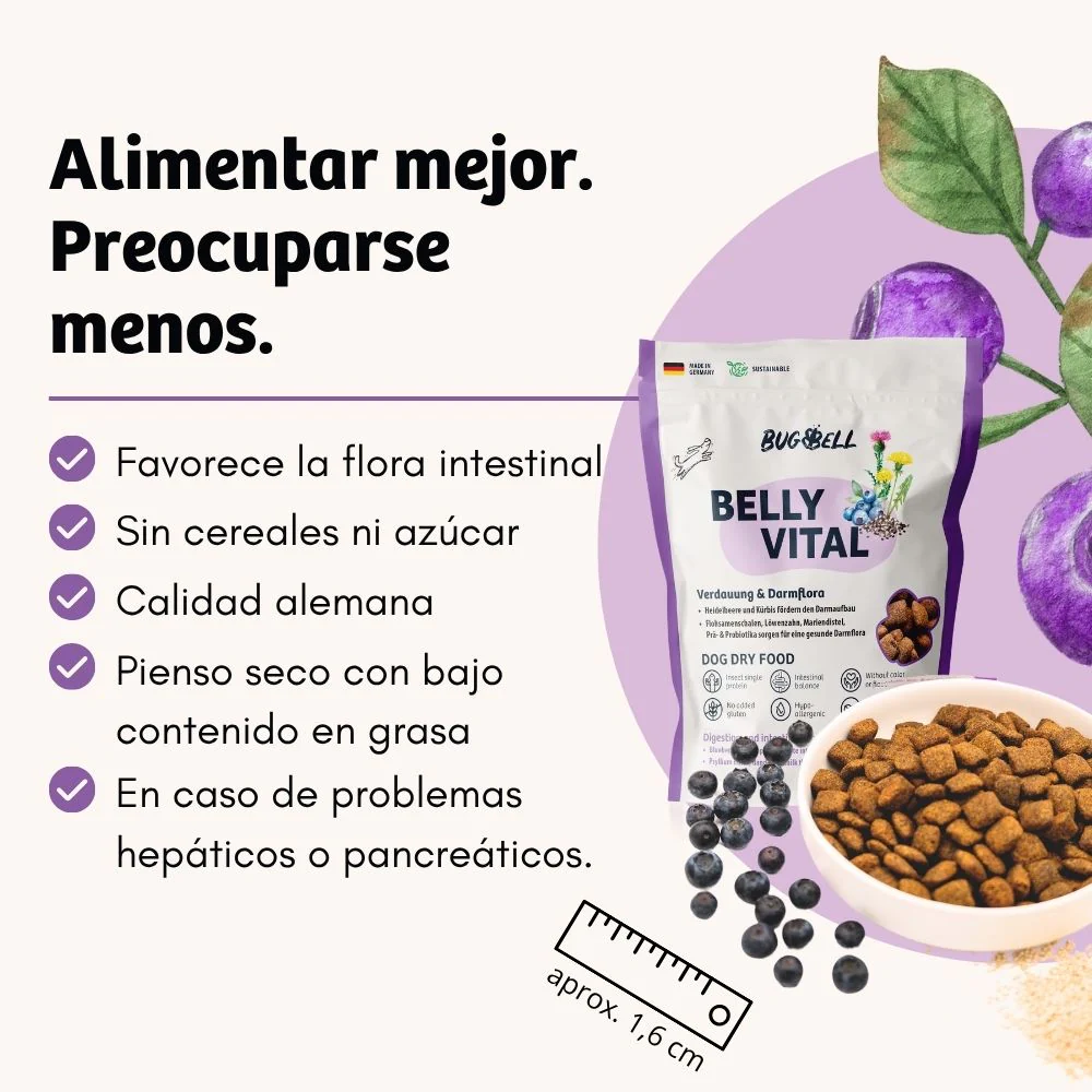 BugBell BellyVital Feed - hipoalergénico, sem grãos, com proteína de inseto, psílio e mirtilos. - Image 2