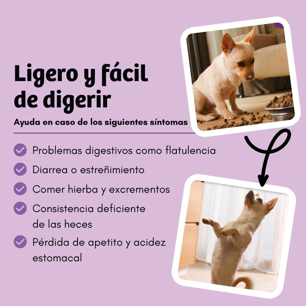 BugBell BellyVital Feed - hipoalergénico, sem grãos, com proteína de inseto, psílio e mirtilos. - Image 4