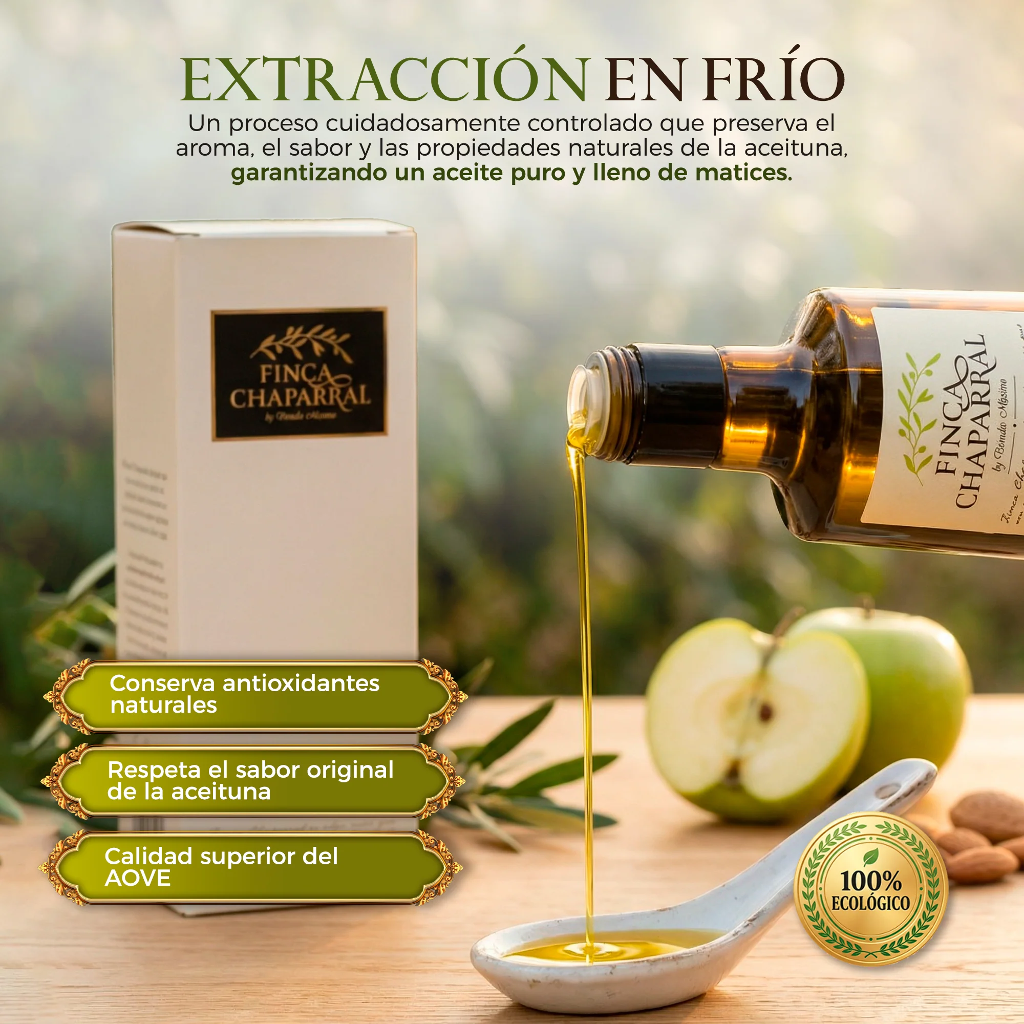 Azeite Virgem Extra Picual Biológico - Image 4