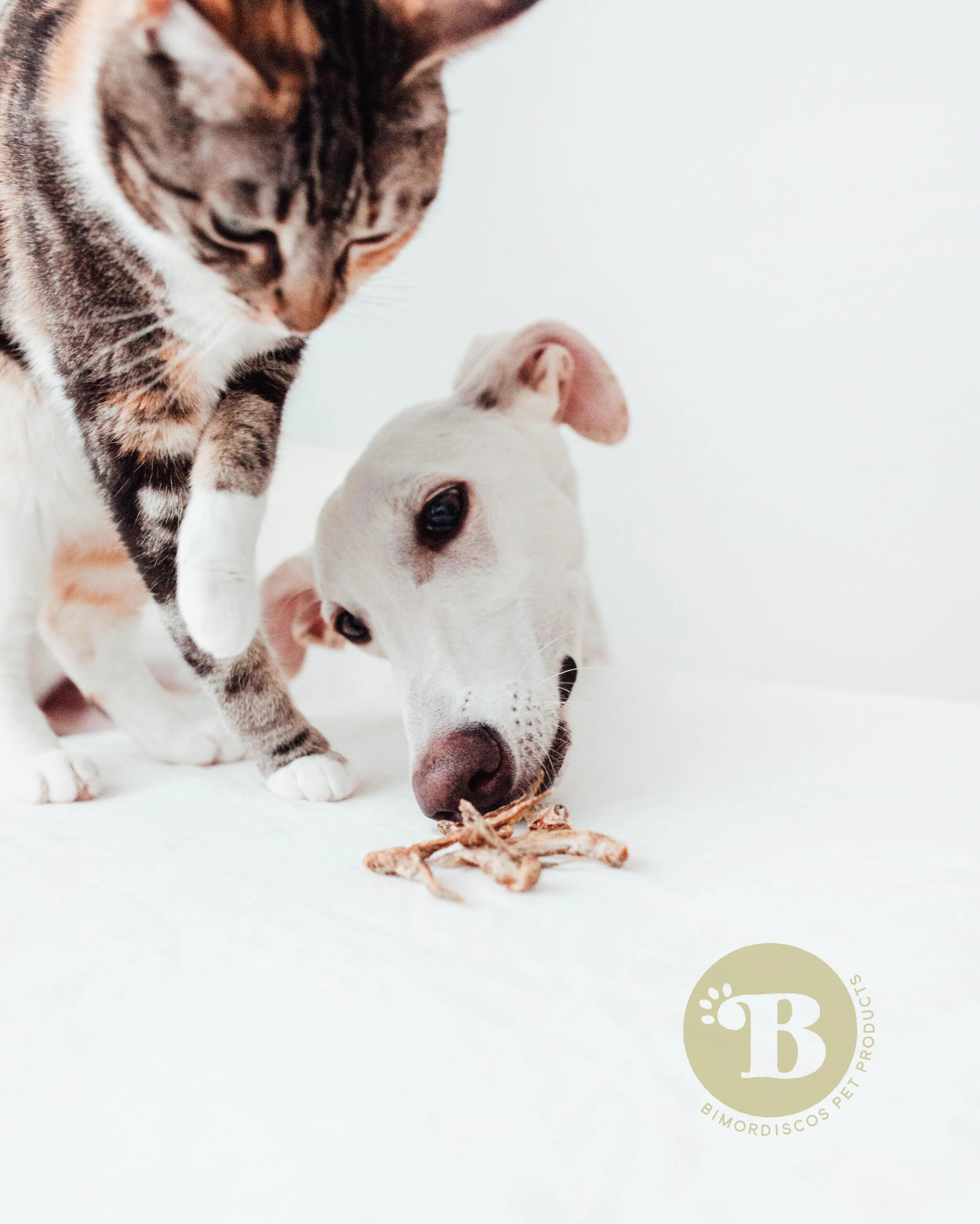 Bimordiscos Peixes Desidratados Para Cães E Gatos · 50g - Image 4