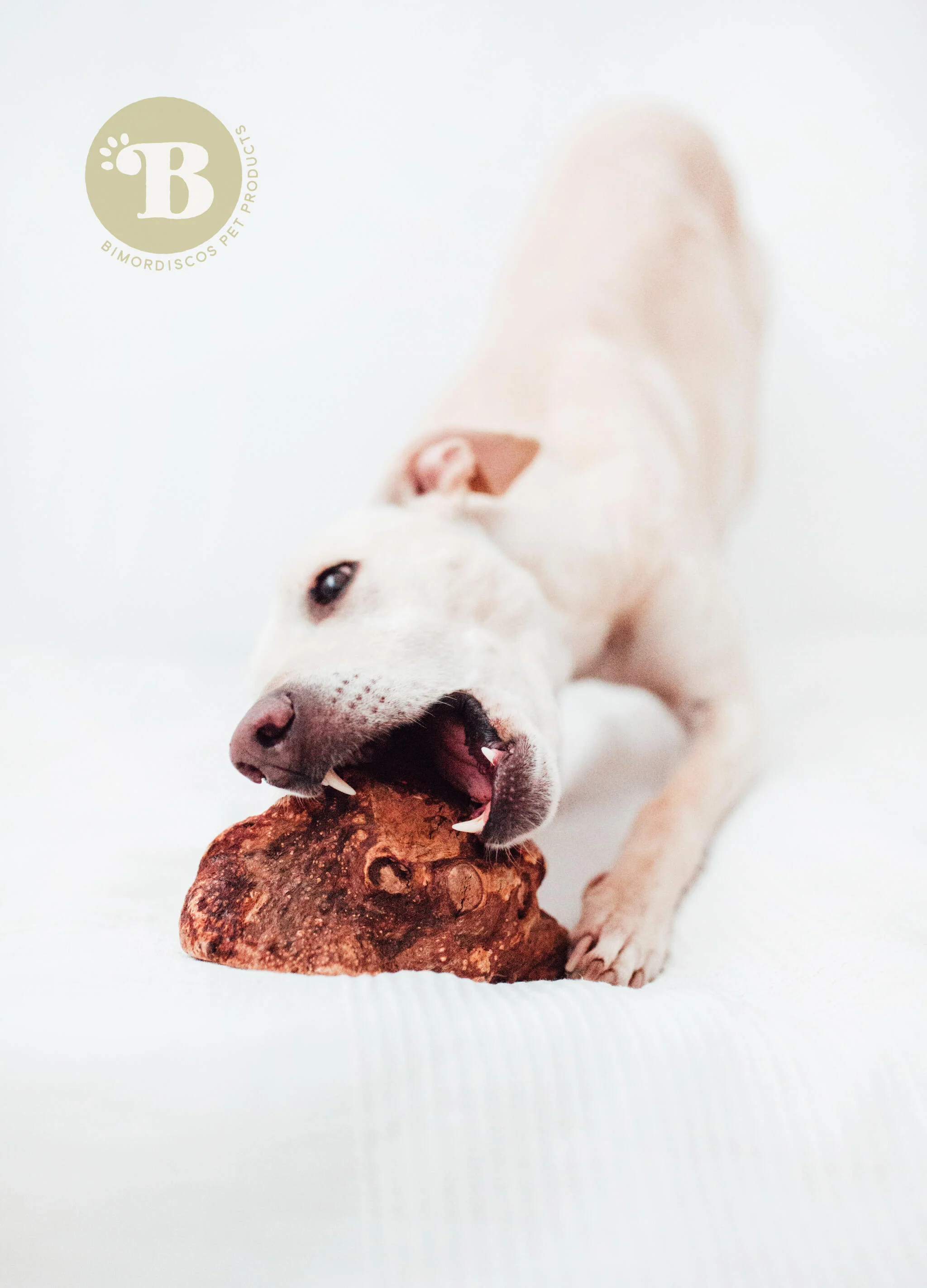 Bimordiscos Raiz De Urze Para Cães Com Óleo De Salmão Tamaño Xs - Image 2