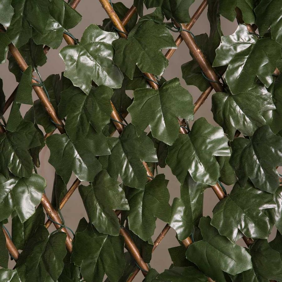 Celosia Extensible Con Hojas Basic 1x2 M Nortene - Image 2