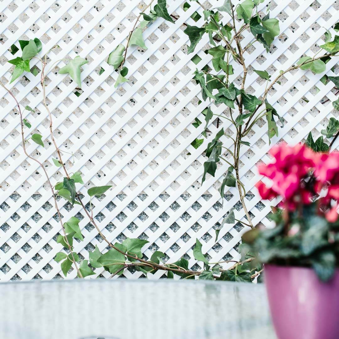Celosia Pvc 18 Mm.1x2 Blanco Nortene - Image 4