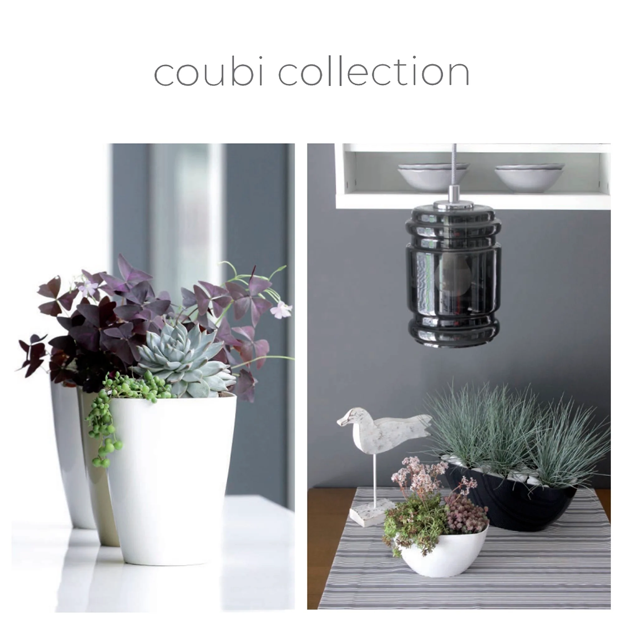 Coubi Orchid Pet 1.5l., Dimensões (mm) 132x132x160, Cor Branca - Image 2