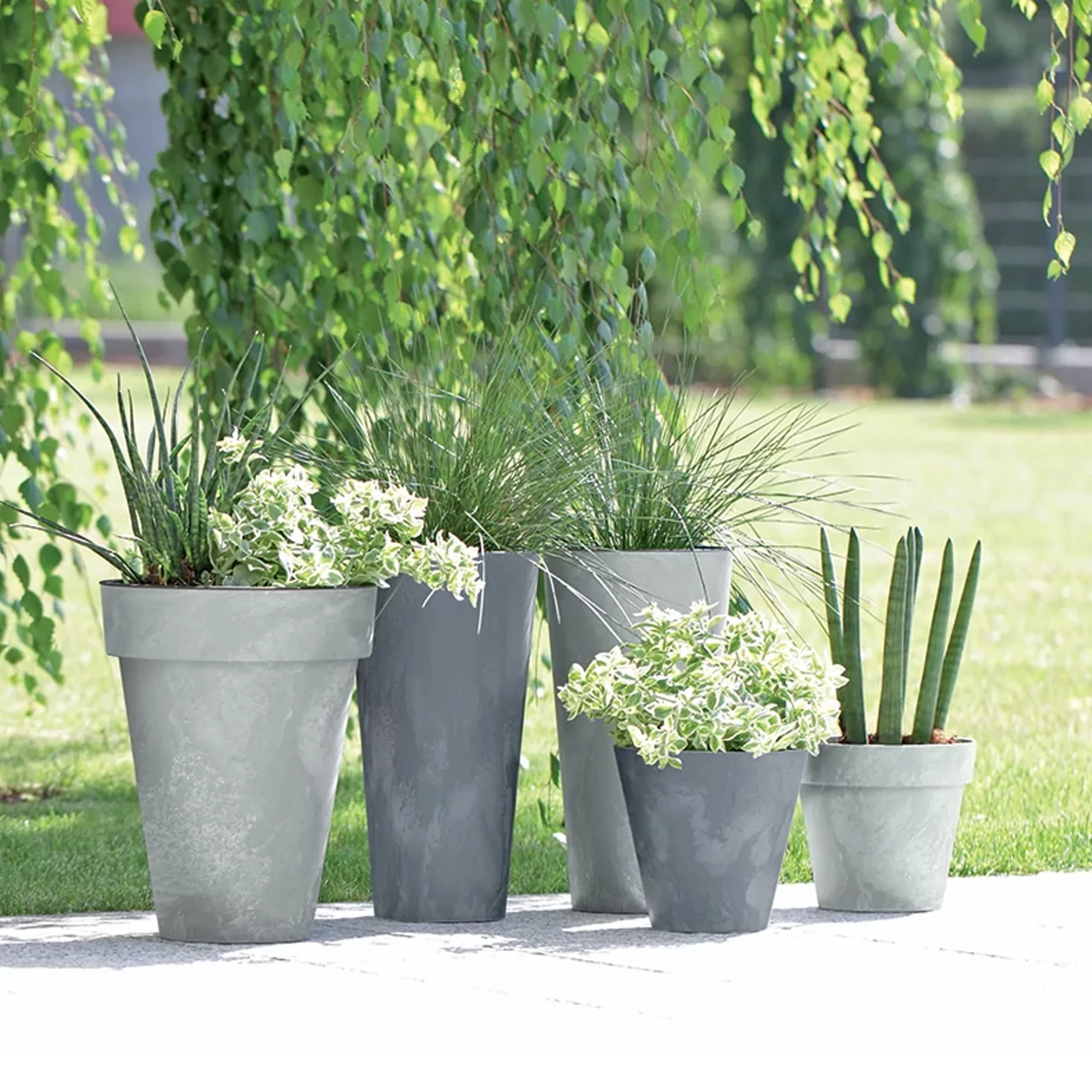 Cube Beton Efeito 2.2l - Image 5