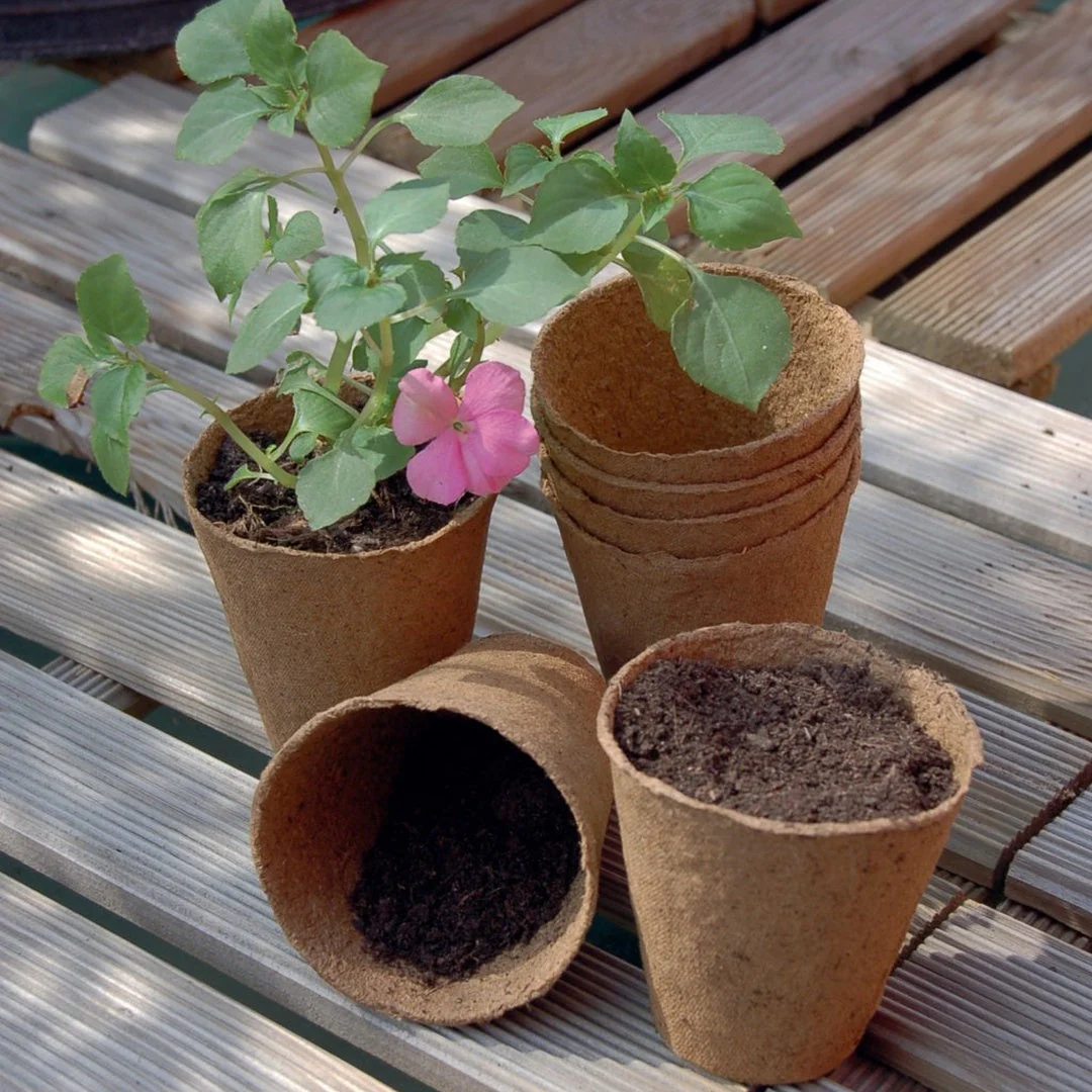 Maceta Compostable Nort Growing Pot Ø 6 Cm 24 Uds Nortene - Image 2