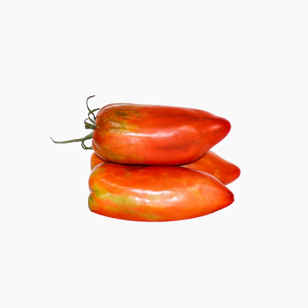 Plantón Tomate Bitxo 6 Unidades - Plantabo - Image 2
