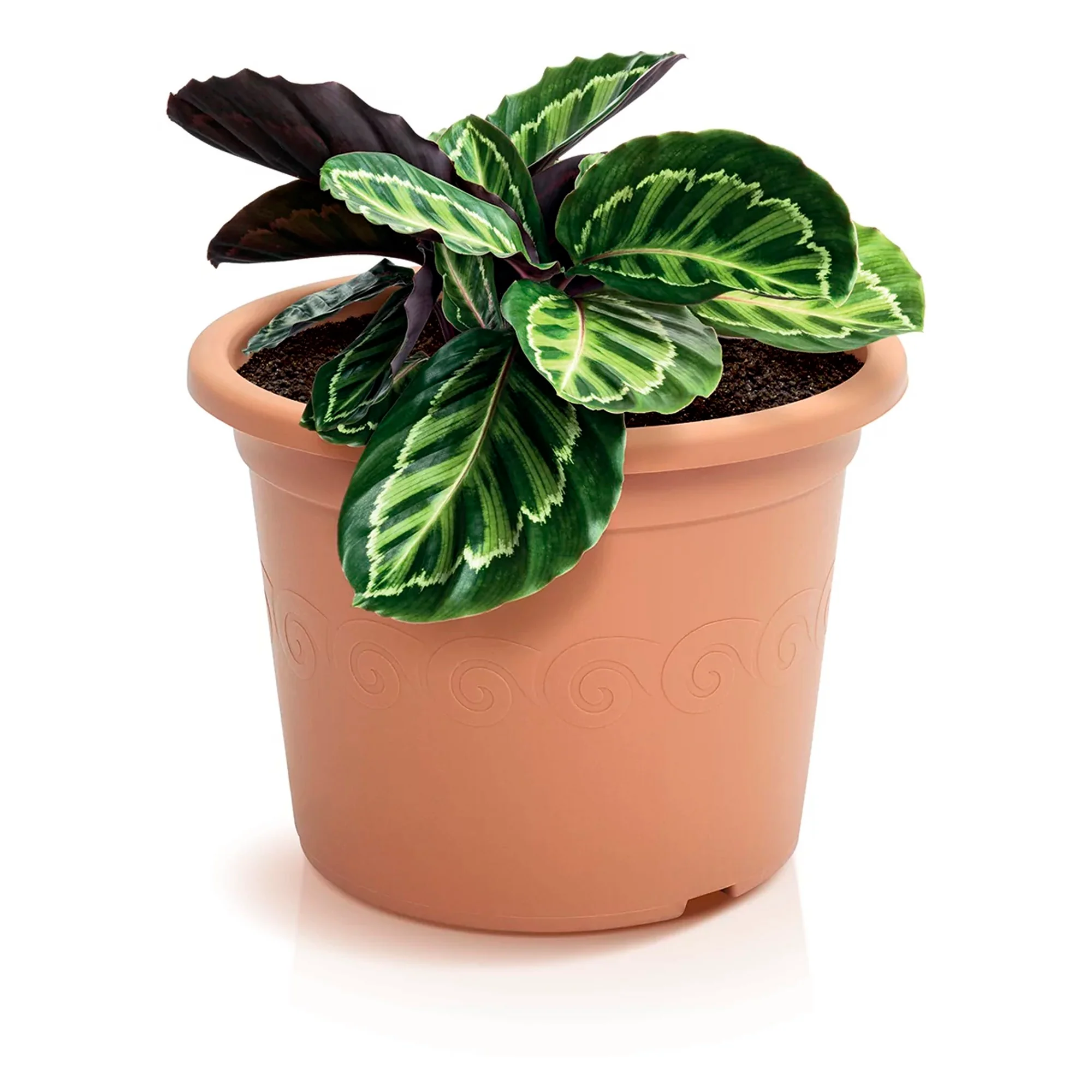 Pote De Plástico De 2,5l, Dimensões (mm) 200x200x150, Cor De Terracota - Image 4