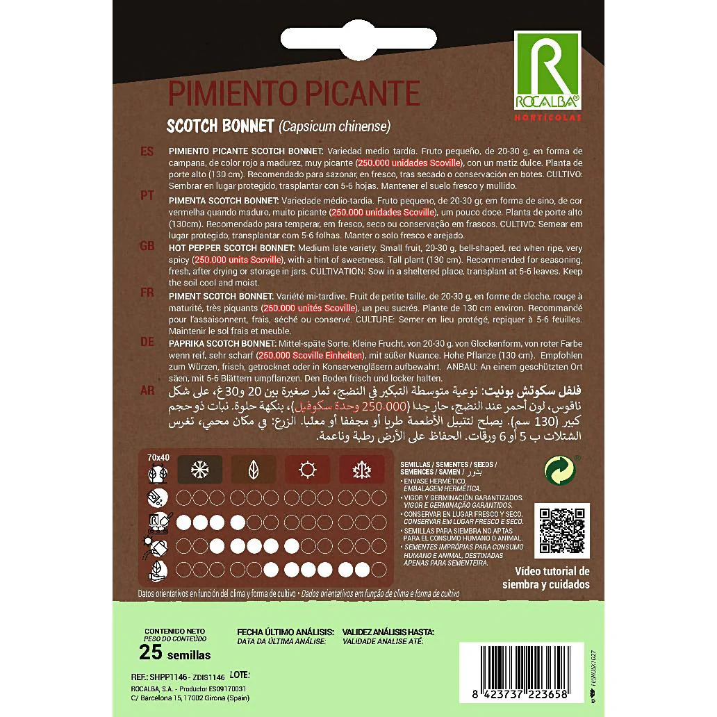 Sementes de pimento Scotch Bonnet Rocalba - Image 2