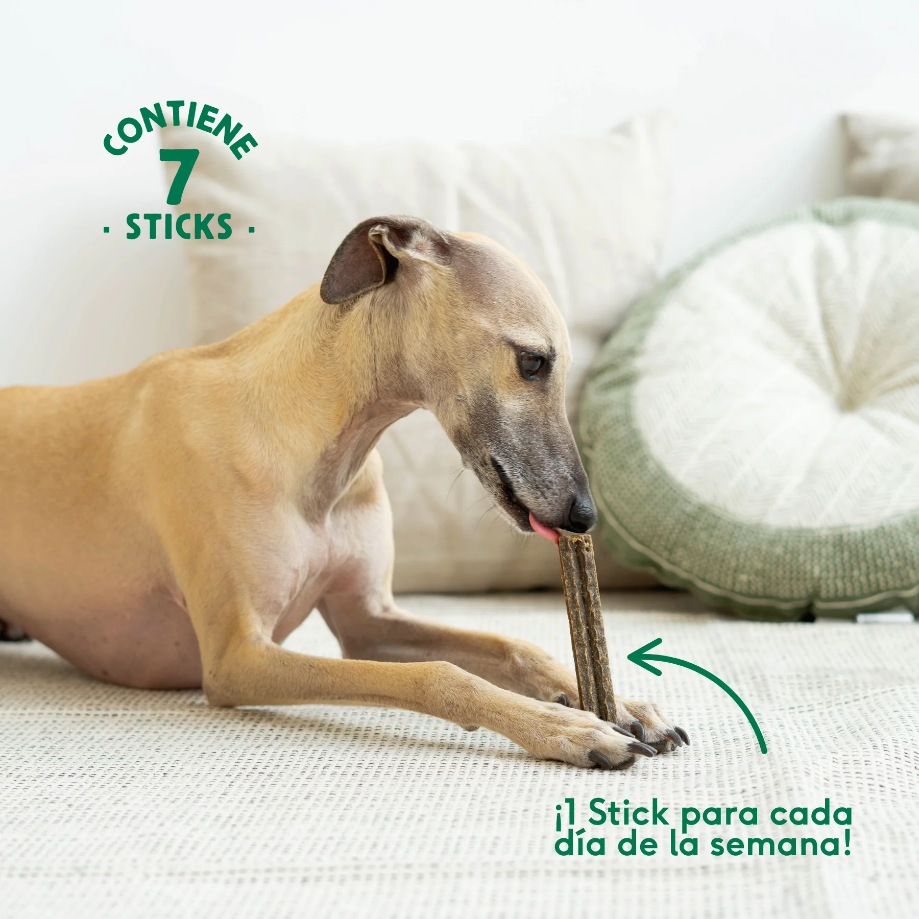 Wild Balance Dental Calmante Anti-Stress Stick 7 unidades. - Image 4